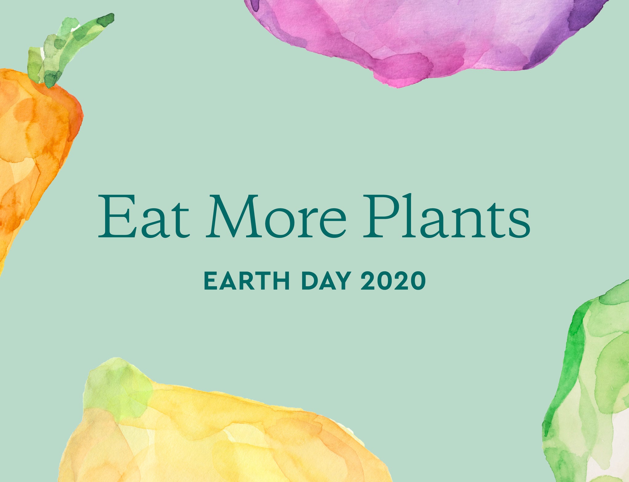 Why Eating More Plants Is Good for the Environment