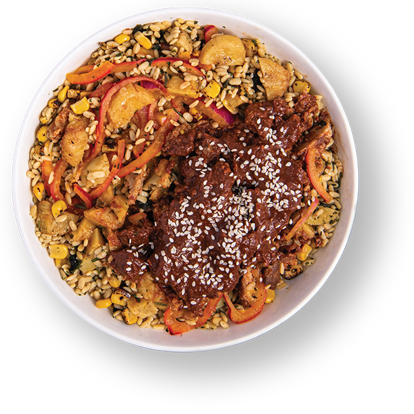 Mexican Mole Bowl meal