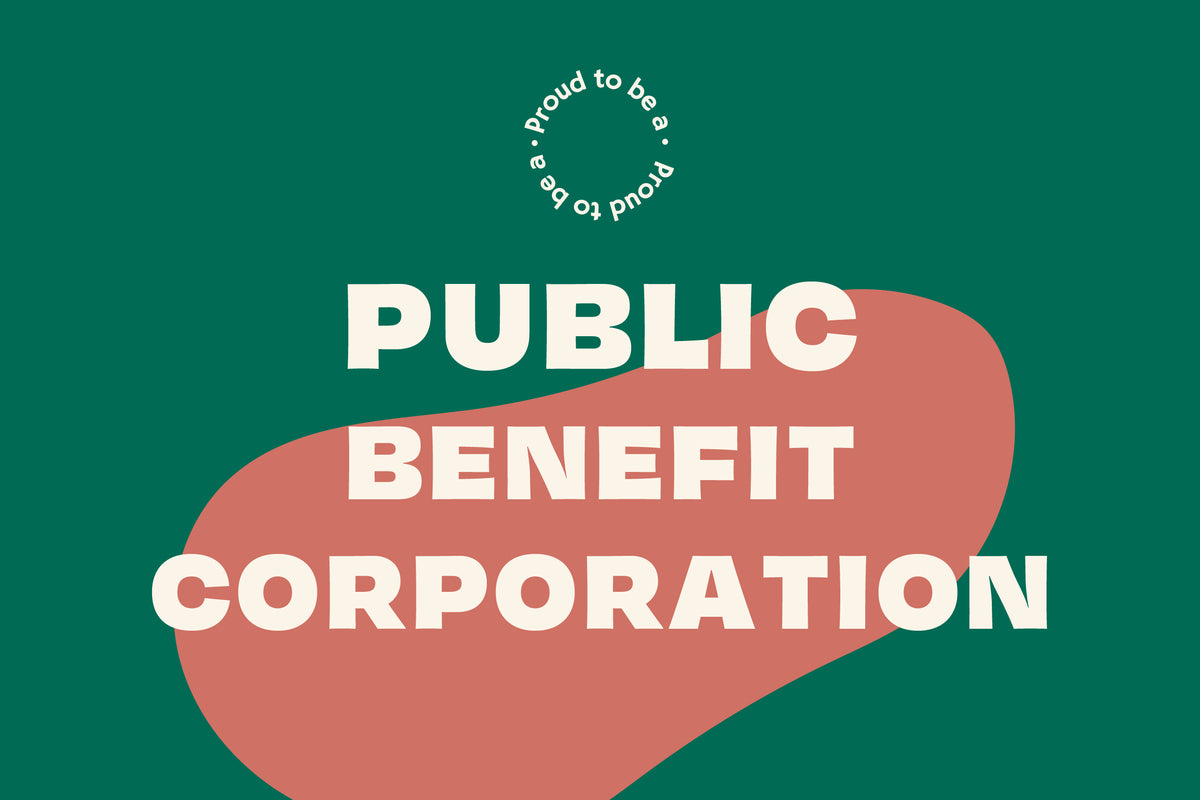 Exciting News: Mosaic is Now a Public Benefit Corporation!