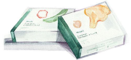A watercolor image of Mosaic meal boxes