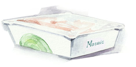 A watercolor image of Mosaic trays